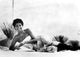 Ali MacGraw portrait photo print in various sizes.