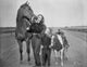 Barbara Stanwyck Bonding with Horses Classic Portrait Photo Print