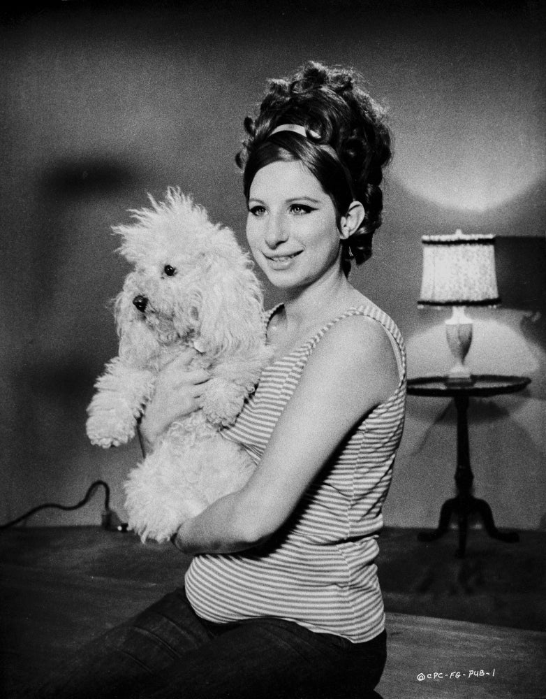 Barbra Streisand with dog photo print, available in multiple sizes.