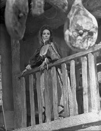 Elizabeth Taylor Classic Portrait Photo Print showcasing her timeless beauty.