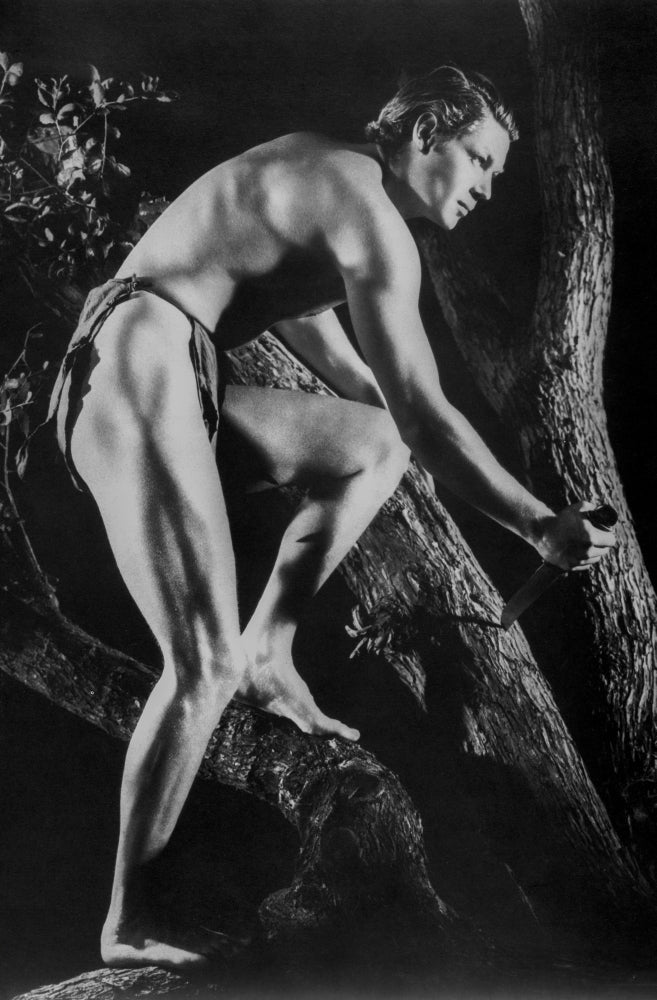 Johnny Weissmuller in a loincloth hiding behind a tree in a movie scene photo print.