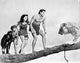 Johnny Weissmuller movie scene photo print featuring a lion on a tree branch.