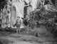Johnny Weissmuller standing near waterfalls with child in movie scene photo print