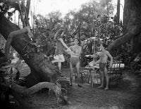 Johnny Weissmuller helping a woman down a tree - Classic movie scene photo print.