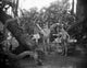 Johnny Weissmuller helping a woman down a tree - Classic movie scene photo print.
