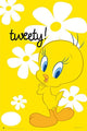 Tweety-Hfe Poster Print - Rolled Poster 22x34