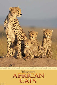 Disney Nature Cheetah Poster Print - 22x34