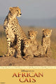 Disney Nature Cheetah Poster Print - 22x34