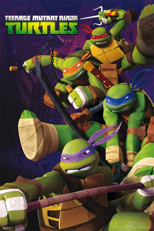 Ninja Turtles Rolled Poster Print - 22x34 | Posterazzi