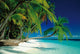 Tropical Paradise Rolled Poster Print - 34x22