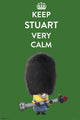 Minions Keep Stuart Poster Print - 34x22 Rolled Poster