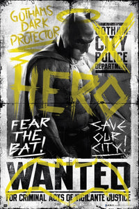 Batman V Superman Hero Poster Print - 22x34 Rolled Poster