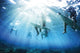 Surfers Poster Print - Vibrant Ocean Art for Home & Office