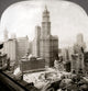 Woolworth Building poster print showcasing historic New York City architecture.