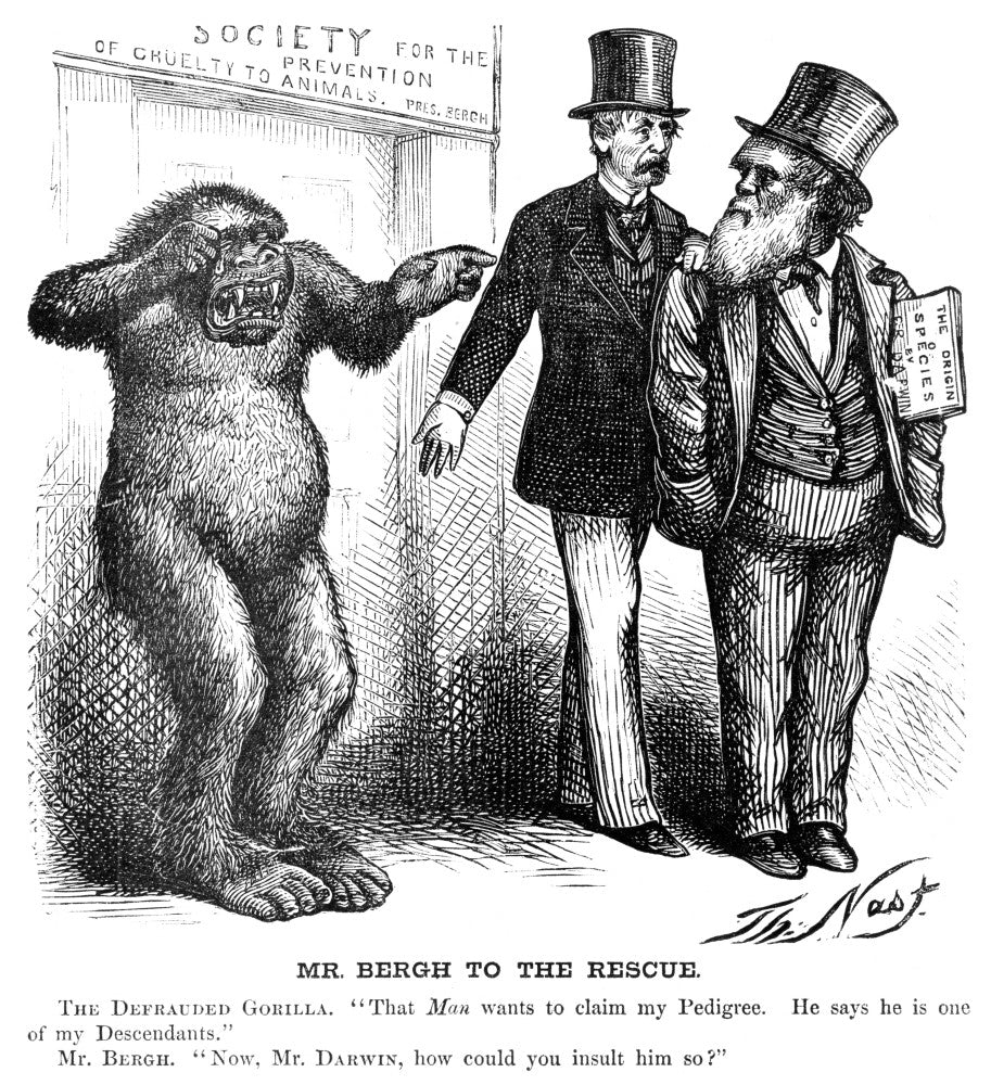 http://c328301.r1.cf1.rackcdn.com/GRC0058491LARGE.jpg