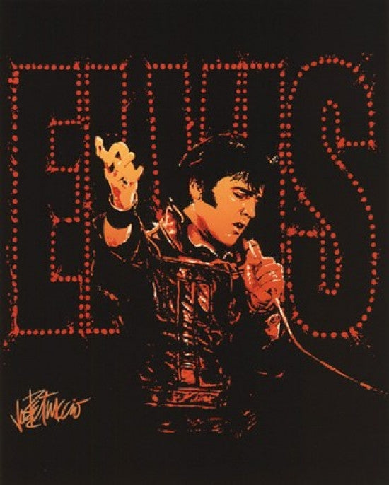 Elvis Presley - Take My Hand Rolled Poster Print