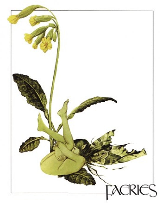 Cowslips Faeries art print by Brian Froud in 8 x 10 size