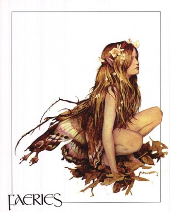 Faeries Anniversary Cover Poster Print by Brian Froud
