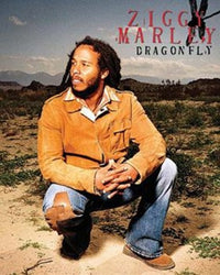 Ziggy Marley Dragonfly Poster Print - Rolled Poster Art