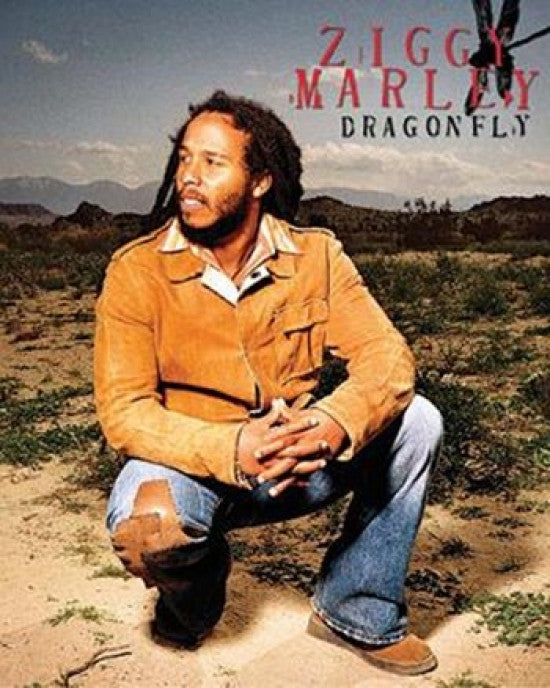Ziggy Marley Dragonfly Poster Print - Rolled Poster Art