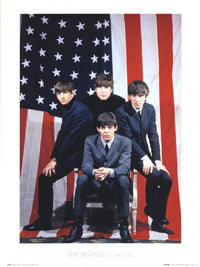 Beatles USA Poster Print - 22x30 Rolled Poster