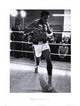 Muhammad Ali Training Poster Print - 22x30