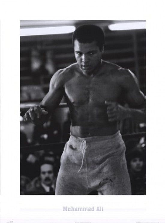 Muhammad Ali Champ Poster Print - 22x30