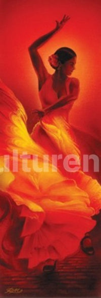 Flamenco Door Poster Print - Rolled Poster 36x12