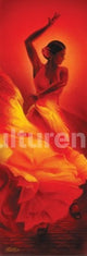 Flamenco Door Poster Print - Rolled Poster 36x12