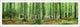 Rainforest Poster Print - Serene Nature Artwork for Home & Office