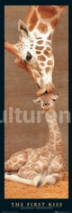 First Kiss Giraffes Poster Print - 36x12 Rolled Art