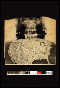 Radiohead Amnesiac Poster Print - 24x36