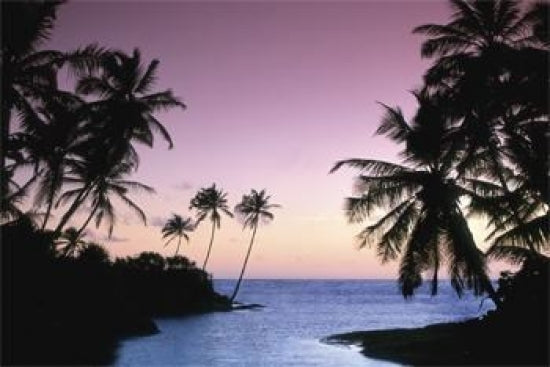 Hikkaduwa Beach Poster showcasing a tropical coastal landscape.