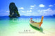 Tropical Life Poster featuring vibrant greenery and flora