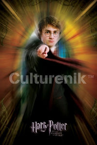 Harry Potter and the Goblet of Fire Wand Poster Print