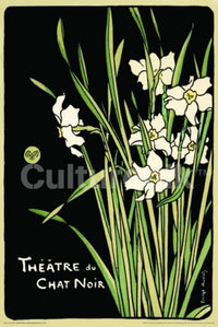 Theatre Du Chat Noir Rolled Poster Print - 36x24