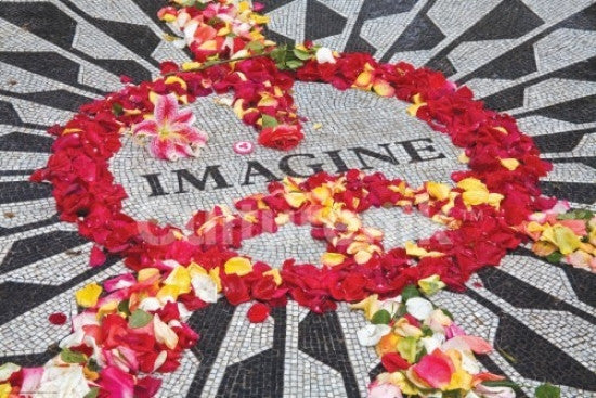 Imagine - Peace Flowers Rolled Poster Print