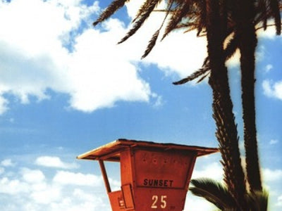 Beach & Ocean