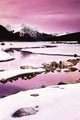 Snow Covered Mountain Rolled Poster Print - 34x22