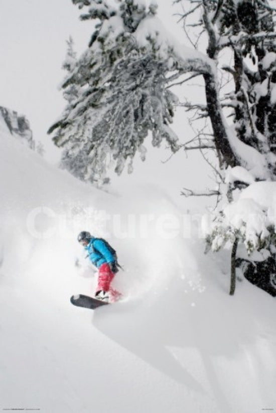 Snowboarder Under Tree Poster Art Print showcasing winter sports excitement.