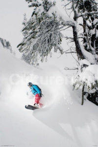 Snowboarder Under Tree Poster Art Print showcasing winter sports excitement.