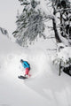 Snowboarder Under Tree Poster Art Print showcasing winter sports excitement.