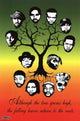 Roots Tree Poster by Steez showcasing a majestic tree
