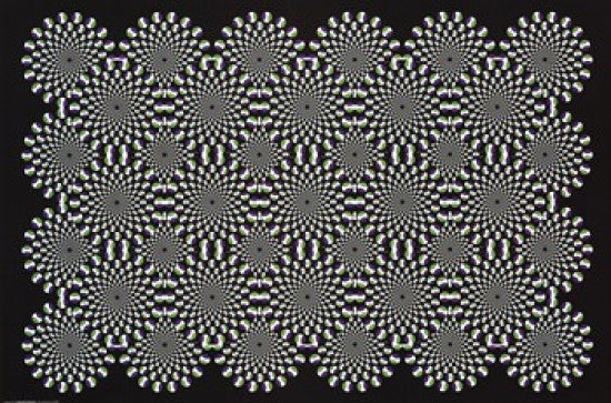 Optical Illusion Rolled Poster Print - 34x22 | Posterazzi