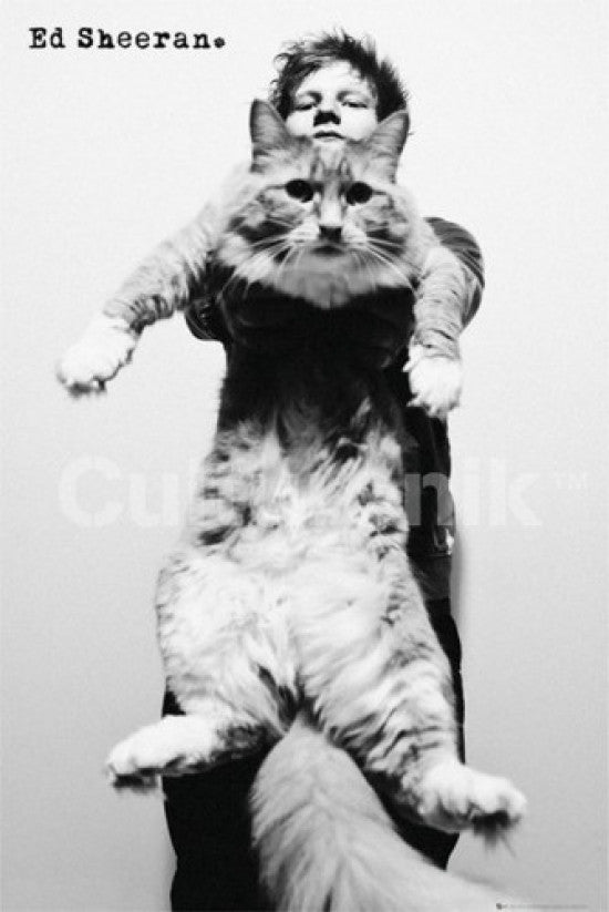 Ed Sheeran Giant Cat Poster Print - 36x24 | Posterazzi
