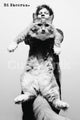 Ed Sheeran Giant Cat Poster Print - 36x24 | Posterazzi