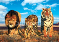 Wild Cats Poster Print - 34x22 Rolled Artwork