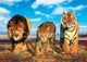 Wild Cats Poster Print - 34x22 Rolled Artwork