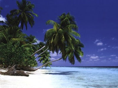 Beach & Ocean