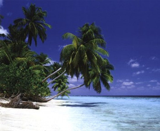 Maldive Morning Rolled Poster Print - 20x16
